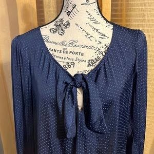 CAbi Blue Top